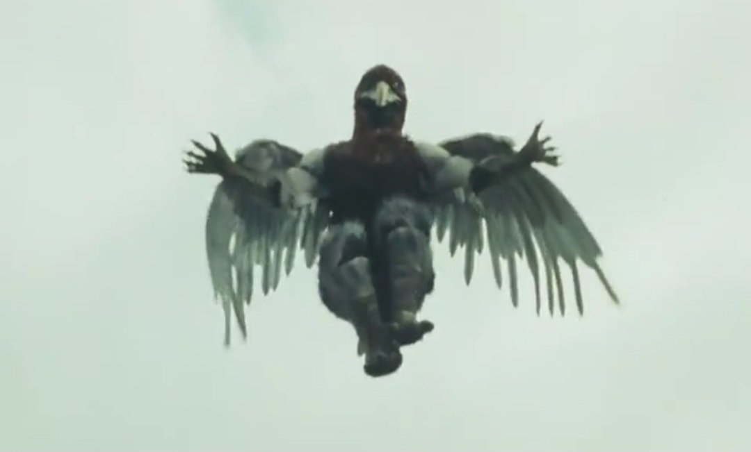 Fly Kamen Rider Hen-what? (A western Kamen Rider adaptation quest) | Page 3 ...