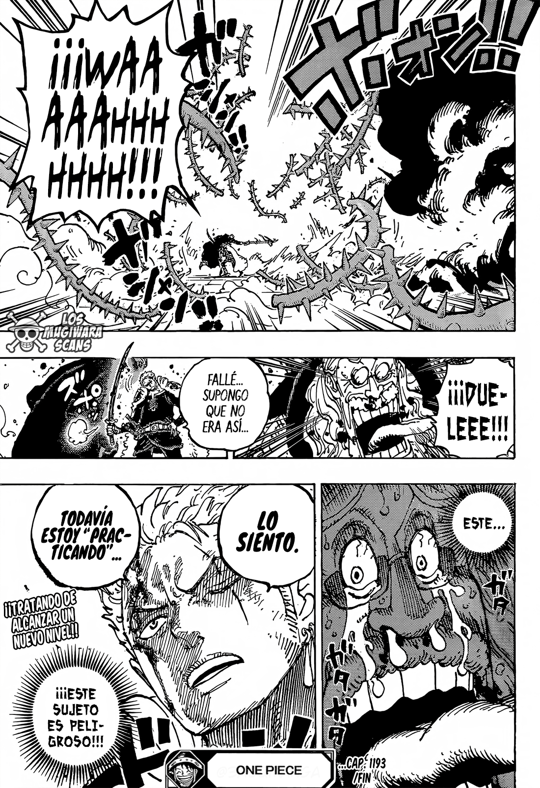 Página 18 de One Piece capítulo 1193.00