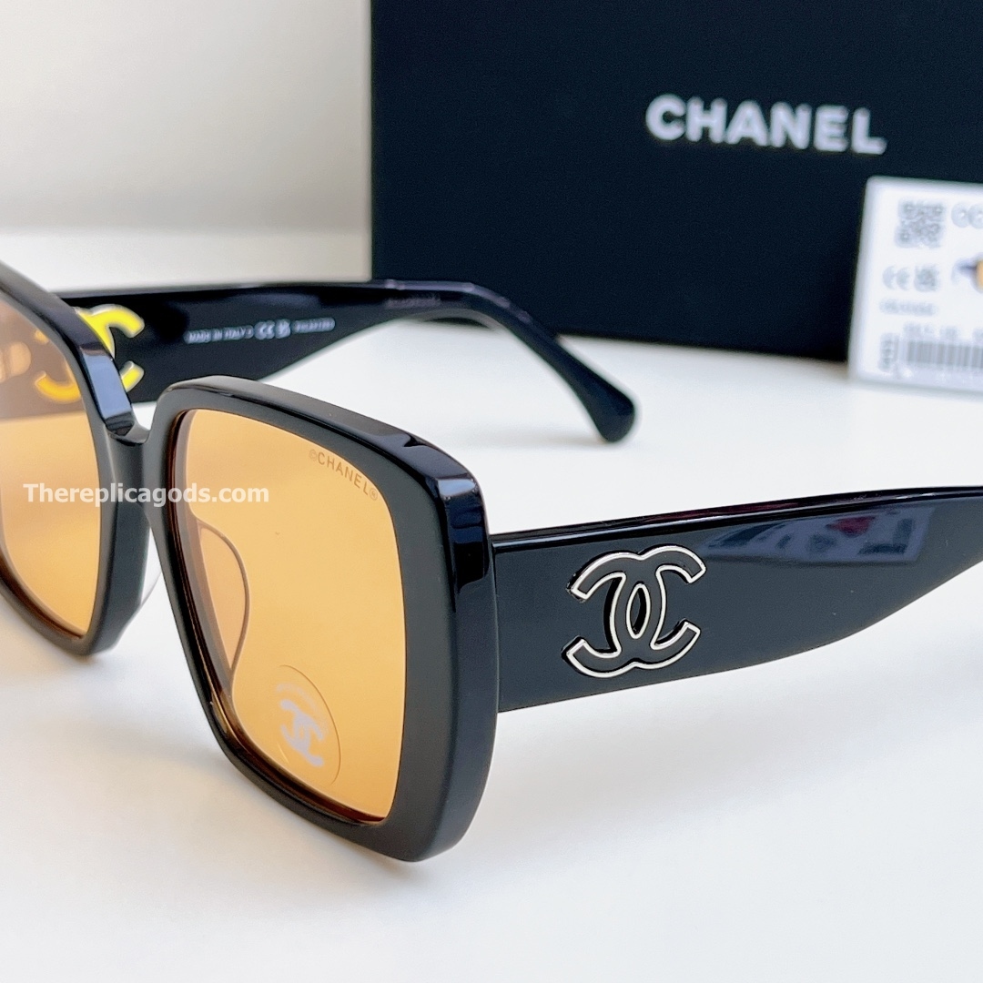 LOGO SUNGLASSES CH5541 - SG194