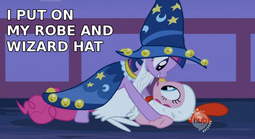 An image from the cartoon My Little Pony, depicting one character wearing a wizard costume on top of another, with the words 'I put on my robe and wizard hat' written on top of it