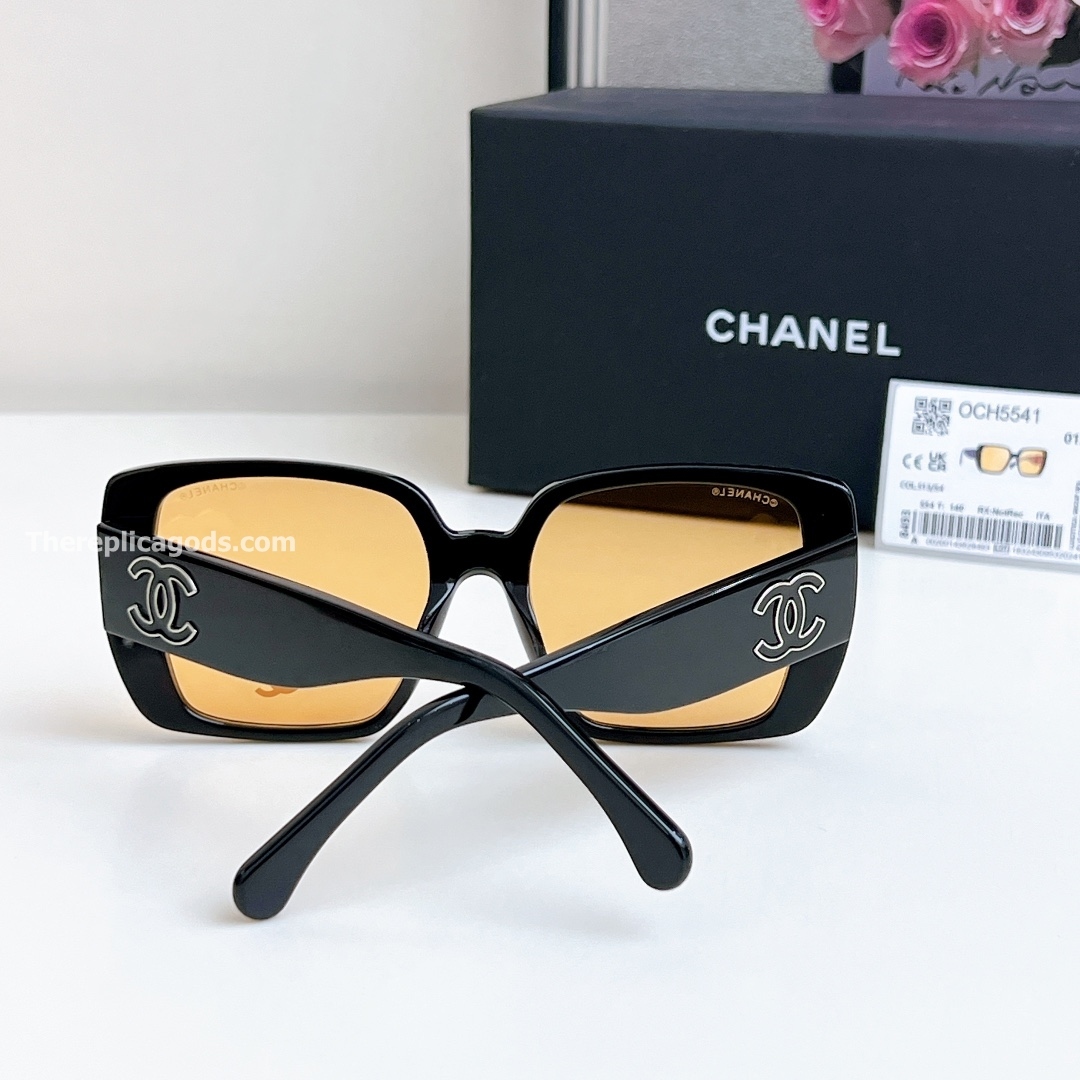 LOGO SUNGLASSES CH5541 - SG194