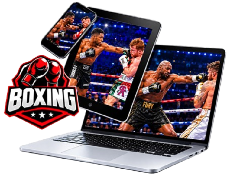Boxing and MMA viewing preview