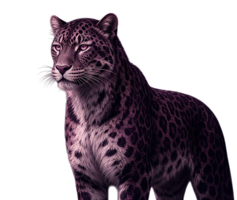 Alpha