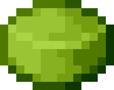 Unripe Edan Cheese Wheel