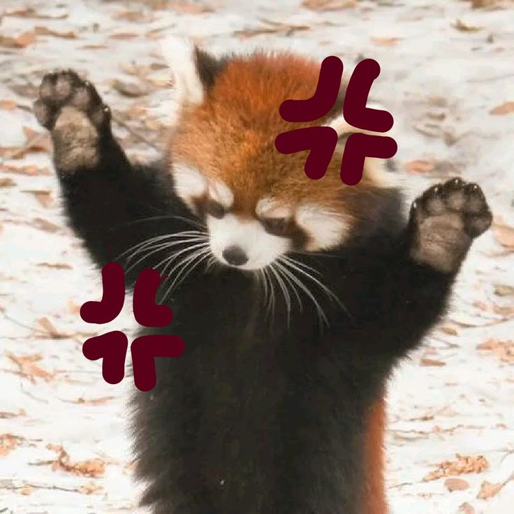 739cx9j6a37.png