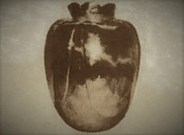 820632a82ab9.png