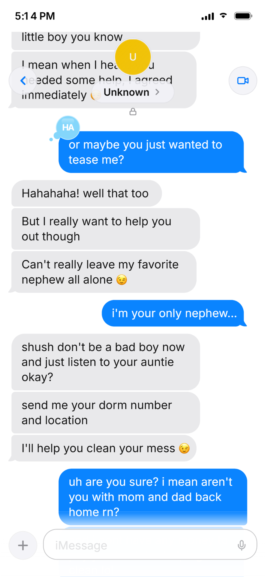 Auntie's Messy Secrets - Part 1, image 41