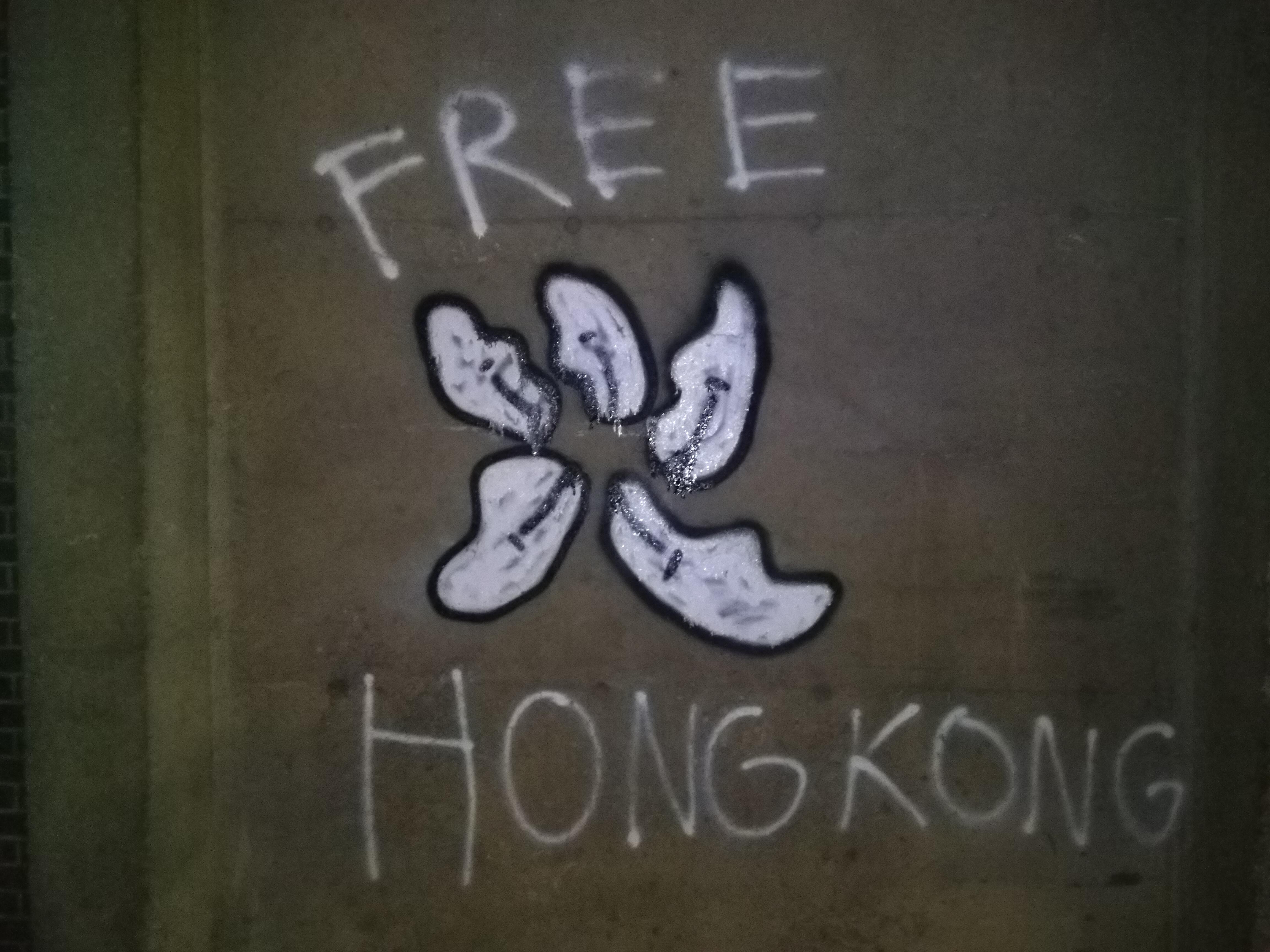 Image For Post | https://www.reddit.com/r/HongKong/comments/cv0ws4/how_can_you_help_hong_kong_protests_from_abroad/