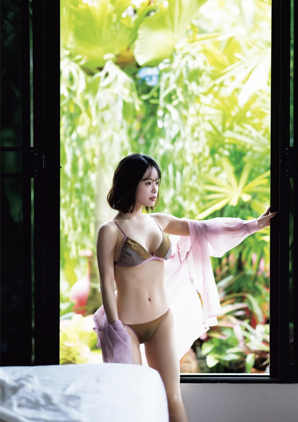 圖檔