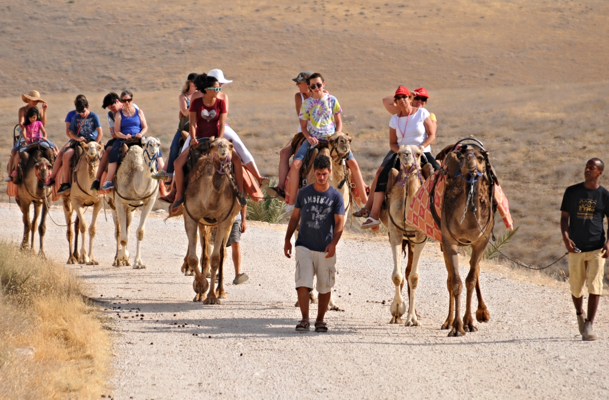 Book Israel Vacation Tours by Professional Jewish Heritage Advisory ...