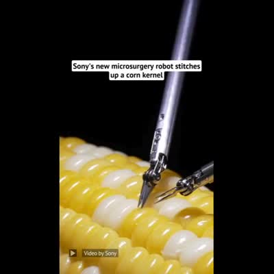 Image For Post New Sony microsurgical robot stiches together a corn kernel
