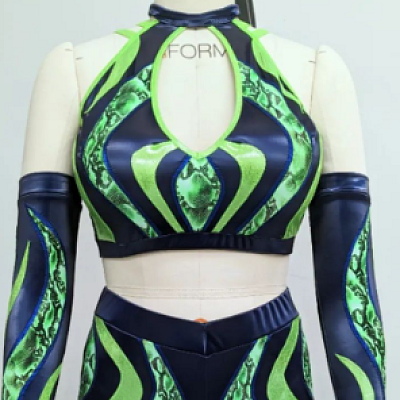 Image For Post GIRLS WRESTLING COSTUMES