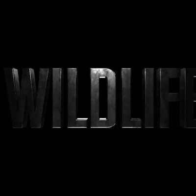 Image For Post Wild life