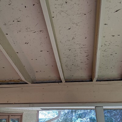 Image For Post How best to fill space between the rafters on my screen porch? Mice and bats like to get into that area.