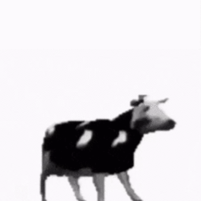 Image For Post polish cow