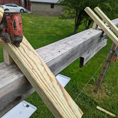 Image For Post | Attaching pressure-treated 2x4s to the top of the gate, using those angled pieces I cut earlier. On the right side of the photo, on the vertical post, is a [small solar fence unit](https://amzn.to/3BkdAGu) which powers an electric fence around my orchard. I've got a serious deer problem.