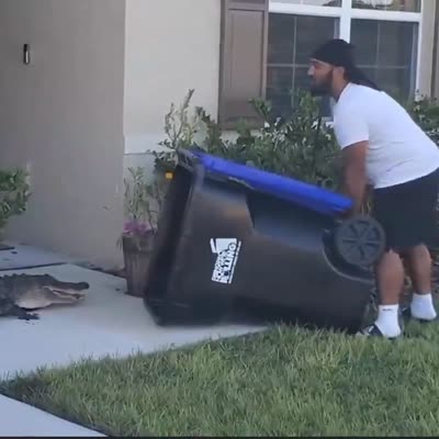 Image For Post Florida-man captures alligator inside trash can
