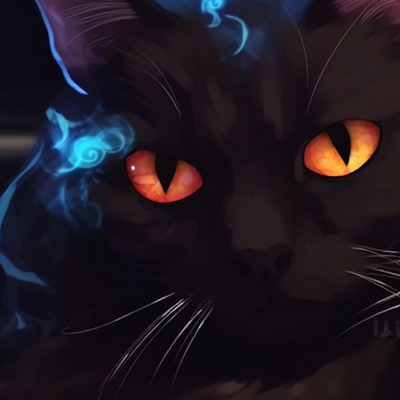 Image For Post | Two cats representing day and night, diverse colors and contrasting themes. popular matching pfp cat trends pfp for discord. - [matching pfp cat, aesthetic matching pfp ideas](https://hero.page/pfp/matching-pfp-cat-aesthetic-matching-pfp-ideas)