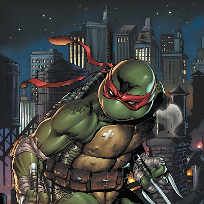 Image For Post TMNT Raphael