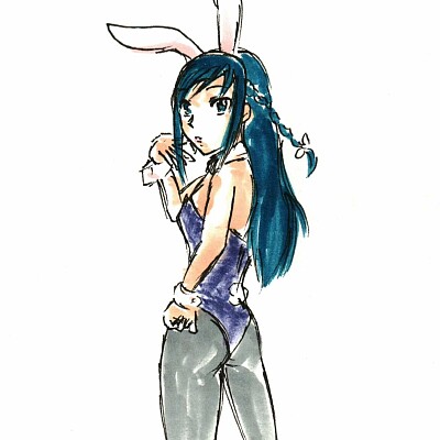 Image For Post Bunnygirl Rikka Hishikawa