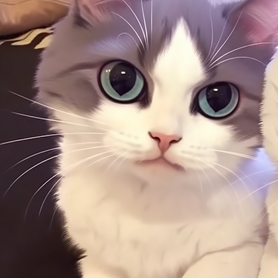 Image For Post | Two identical cats, mystical details and magical aura. popular matching pfp cat trends pfp for discord. - [matching pfp cat, aesthetic matching pfp ideas](https://hero.page/pfp/matching-pfp-cat-aesthetic-matching-pfp-ideas)