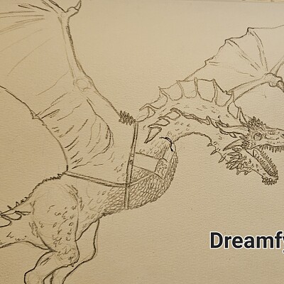 Image For Post Dreamfyre Drawing