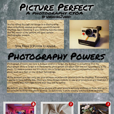 Image For Post Picture Perfect - A Photography CYOA by UnendingJunrei