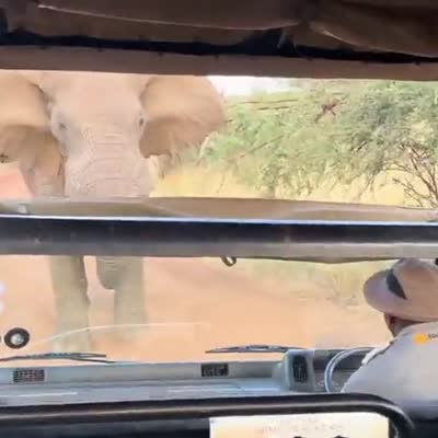 Image For Post Massive elephant lift safari truck (inside vue)