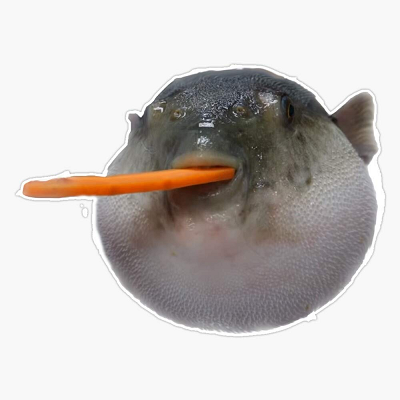 Image For Post Pufferfish