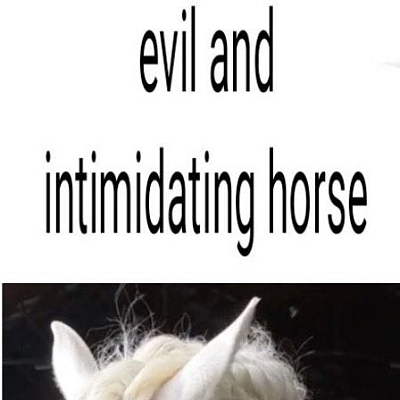 Image For Post evil and intimidating horse