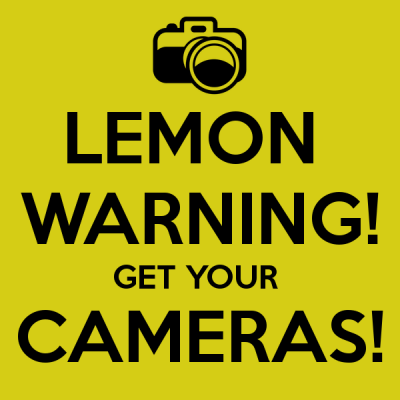 Image For Post Lemon Warning