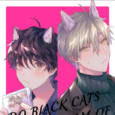 Image For Post Do Black Cats Dream of Wolf Princes?