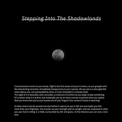 Image For Post Stepping Into The Shadowlands
