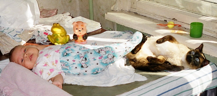 yd5ce5z55z4.jpg