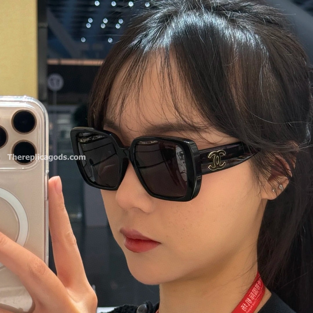 LOGO SUNGLASSES CH5541 - SG194