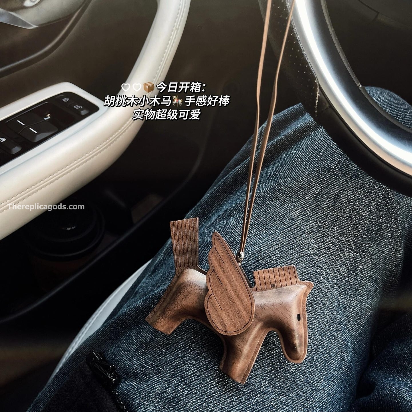 RODEO PEGASE PM CHARM